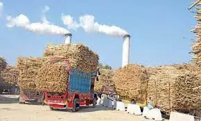#PakistanSugarMillsAssociation #canecommissioner #agriculture #PSMA #punjab #Sindh #KPK #AgriPakistan #PakistanAgricultureDialogue #Sugarcane #Sugar #ChiefSecretaryPunjab #SugarcaneFarmers #SugarPrices #Fertilizer #Pakistan #Kissan #Brazil #weather #allpakistankissanittehad #agriculturedeptpunjab #india #SindhGovernment #SugarExport #weather #rain #climate #climatechange #globalwarmingisreal